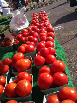 tomatoes-constitution 250